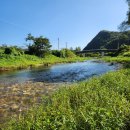 반석이네농장 이미지