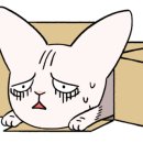 순복이네 이미지