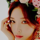 청하 카카오 검색결과