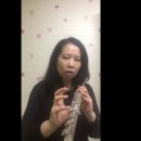 플루트(Flute) 이미지
