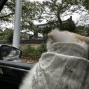 보리은백한의원 이미지