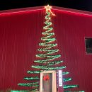 하빈로 | 달성군 크리스마스 카페 대형 트리 포토존이 있는 분위기좋은 마르텐사이트