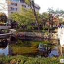 황지연못 이미지