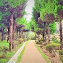 이화동산 이미지