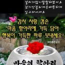 스마일해피 이미지