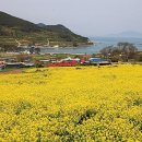 어울림펜션민박 이미지