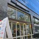 매머드익스프레스양재일동제약점