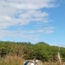 하늘공원 이미지