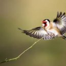 남성대마트 이미지