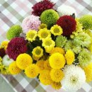 가을농장 이미지