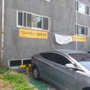 잔다냥 | 수원인계동 고양이 무마취미용 잔다냥에서 하는 이유?