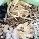 오름한의원 신당점 이미지