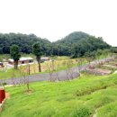 구로-구로-구로-9 이미지