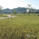 황토클리닉타운 이미지