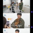 알콩이달콩이
