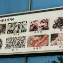 고슴도치펜션 이미지