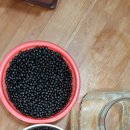 알샘농장 이미지