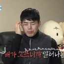 비빔몰