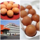 선명약국 이미지