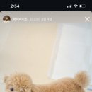 오늘독 이미지