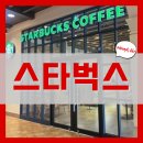 체리빈Coffee | 스타벅스 메뉴 가격 베르가못 콜드브루 신메뉴