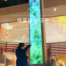 춤으로의 여행 | 창녕 따오기춤 챌린지 우포늪생태관 늪배여행 경남 자연여행 가볼만한 곳