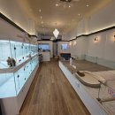 Tailor Puppy 이미지