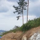 관호농장 이미지