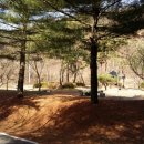 다비숲공원 Daum카페