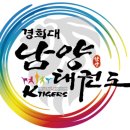 건강한태권도 이미지