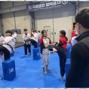 국가대표 효 태권도장 이미지
