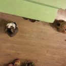 봉곡동168 이미지