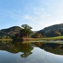 솔밭목장 이미지