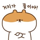 컴페니언 펫 이미지