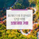 소백산 자락길6코스(외씨버선길)보발재&온달산성/2021년11월23일(화) 이미지