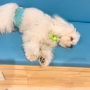 주견야독 이미지