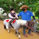 무지개동산 어린이집 이미지