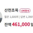 돈버는나비
