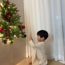 별자리농원 | 우리의 12월은 따뜻해❤️‍🔥