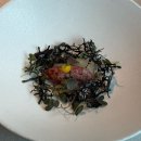 5981 | 기념일에 가기 좋은 분위기 좋은 다이닝 코스 : 콘피에르 셀렉션 코스A 후기