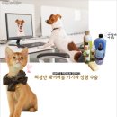사치 - 수영구 남천동로 20 | 사치