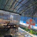 건우농장 이미지