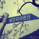 에코피아펜션 이미지