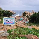 고동바위공원 | 울산 가볼만한 곳, 울산 대왕암공원 | 꽃무릇, 출렁다리, 대왕암, 울기등대_주차 요금, 휴장일