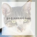 쉽게 배우는 아크릴화 네이버블로그