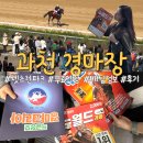 과천 경마장 🐴 렛츠런파크 무료입장 어플 다운로드 방법! 분석법 정리