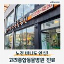 고려동물병원 | 창원 봉곡동 고려동물병원 후기｜노견 바니 기침 진료와 약 처방후기