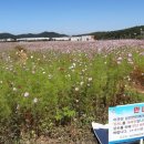 코스모스 산업 이미지