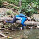 스카이랜드 이미지