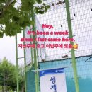 성저테니스장 이미지